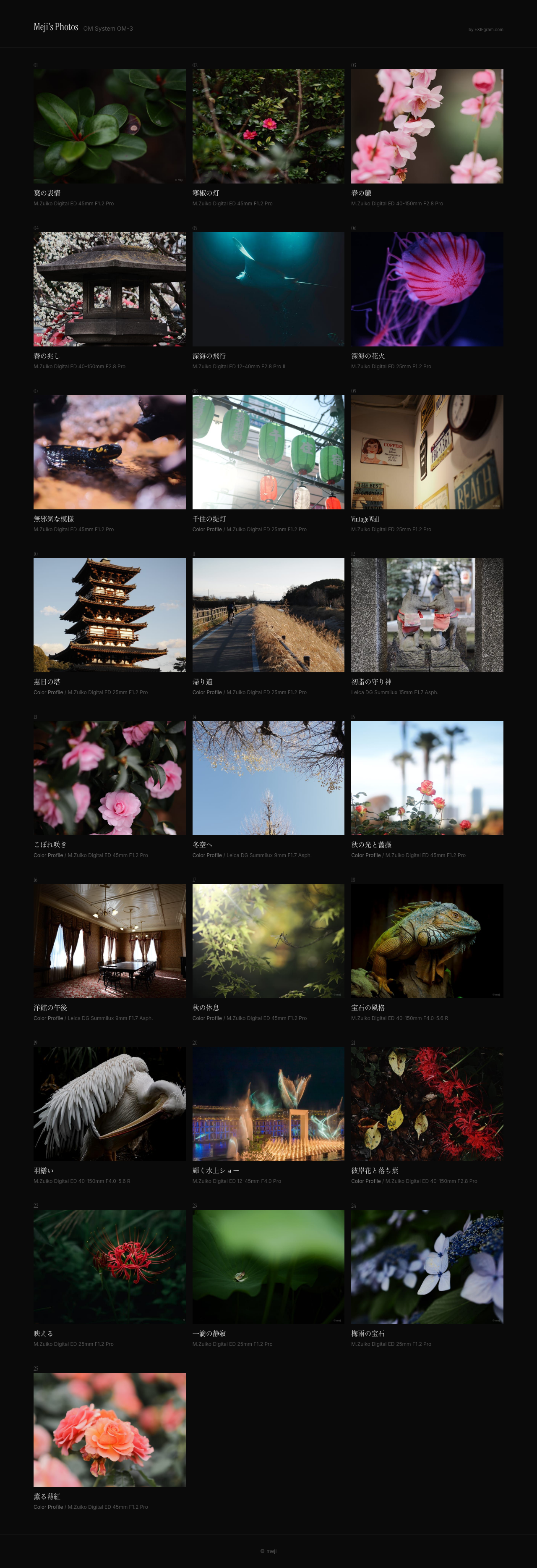 Screenshot of meji.exifgram.com